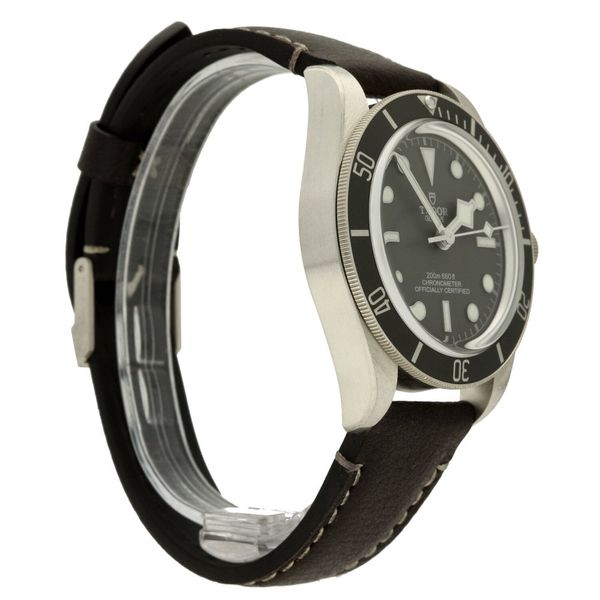 Tudor Black Bay 58 M79010SG-0001
